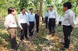 Chinh phục “vàng trắng” Tây Bắc